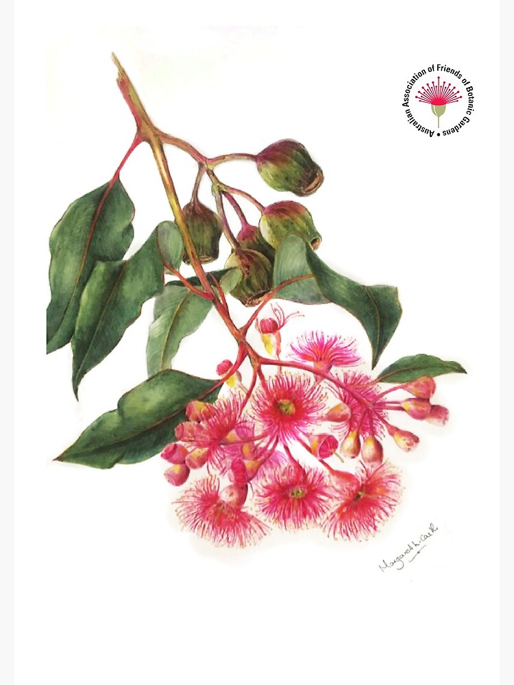Thumbnail 3 of 3, Journal, Eucalyptus Flower - AAFBG  designed and sold by AAFBG.