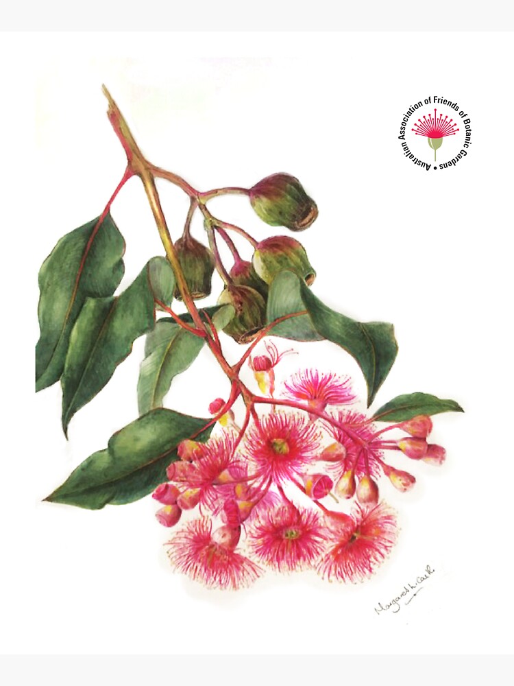 Thumbnail 5 of 5, Tote Bag, Eucalyptus Flower - AAFBG designed and sold by AAFBG.