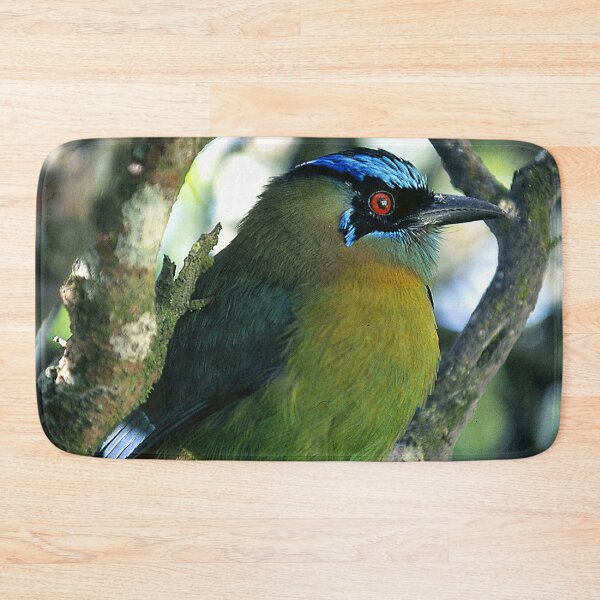 Item preview, Costa Rican Treasure:  Mot Mot Bird Art Photo designed and sold by DEC02.