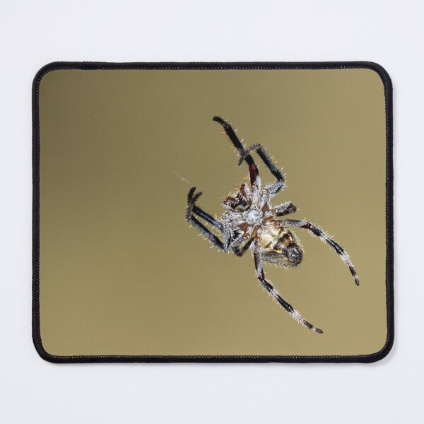 Item preview, Golden Garden Orb Spider designed and sold by Siene Browne.