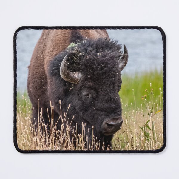Item preview, Bison Through a Large Lens designed and sold by Sue Smith.