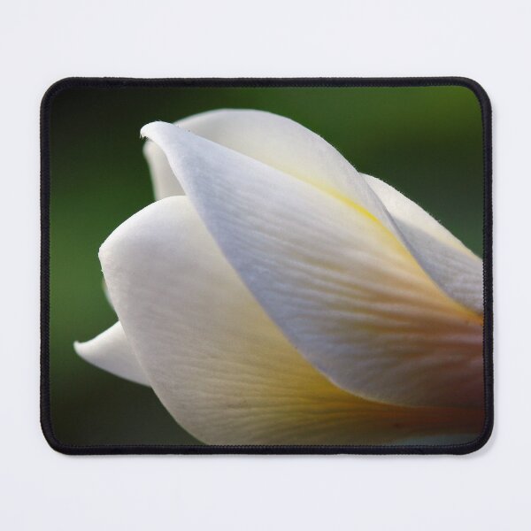 Item preview, Unfurling designed and sold by Siene Browne.