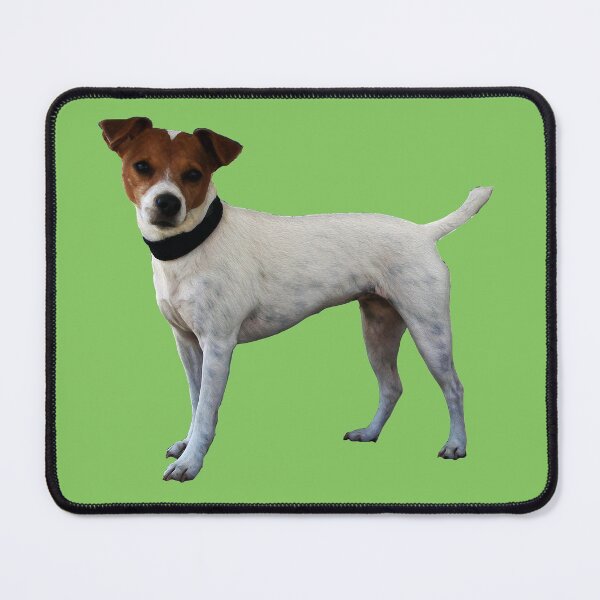 Item preview, Jack Russell Terrier designed and sold by dogplay.