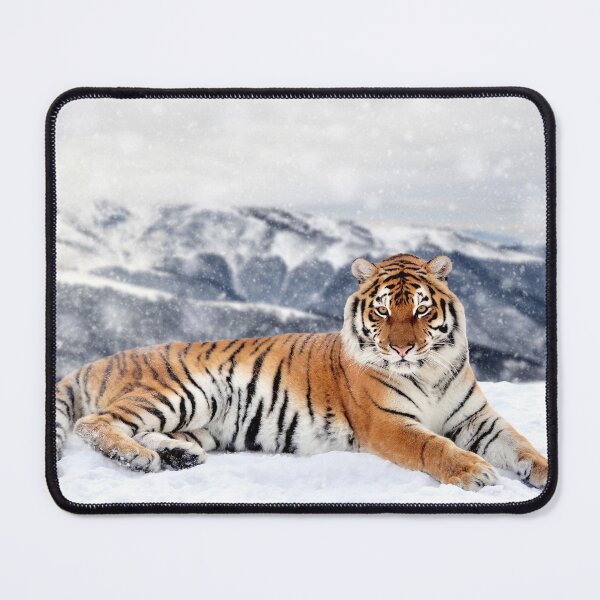 Item preview, Beautiful wild Siberian tiger on snow. designed and sold by Maddie4Real.