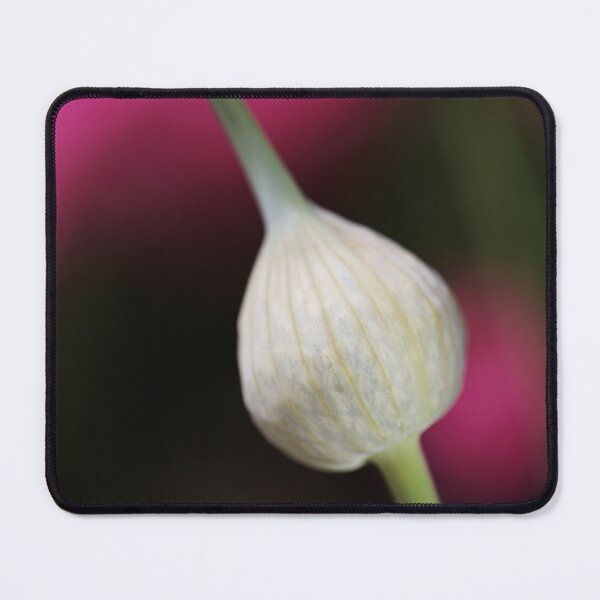 Item preview, Garlic Bud Over Double Background designed and sold by Joy Watson - Natural Light Photography .