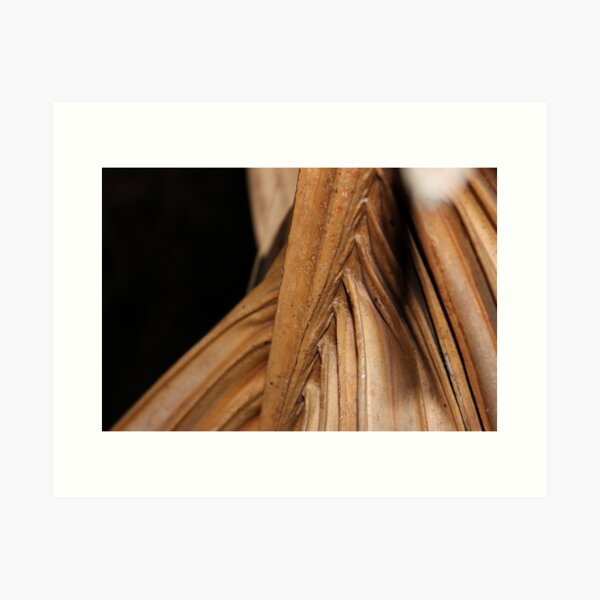 Item preview, Palm Frond designed and sold by Ben Goldberg.