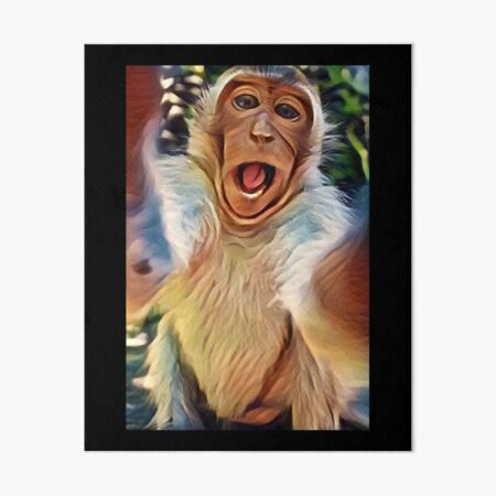 Monkey Meme Photographic Prints for Sale