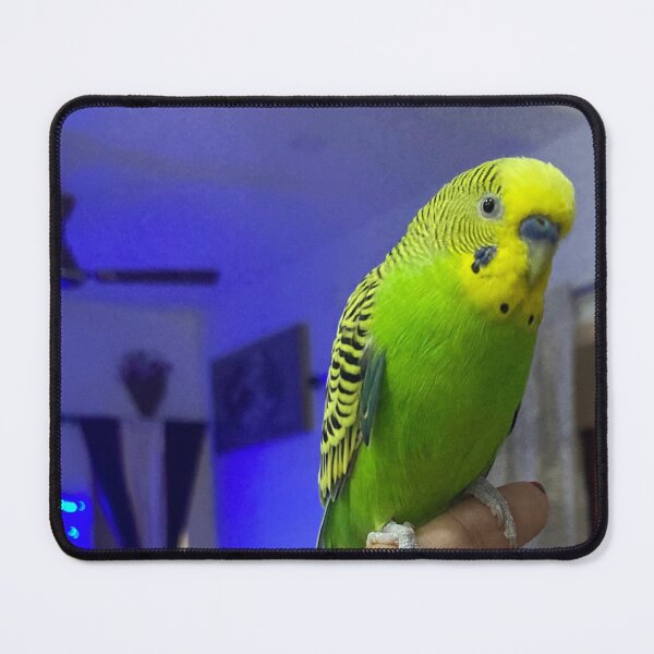 Item preview, Cute Budgie Bird designed and sold by Capture Room.