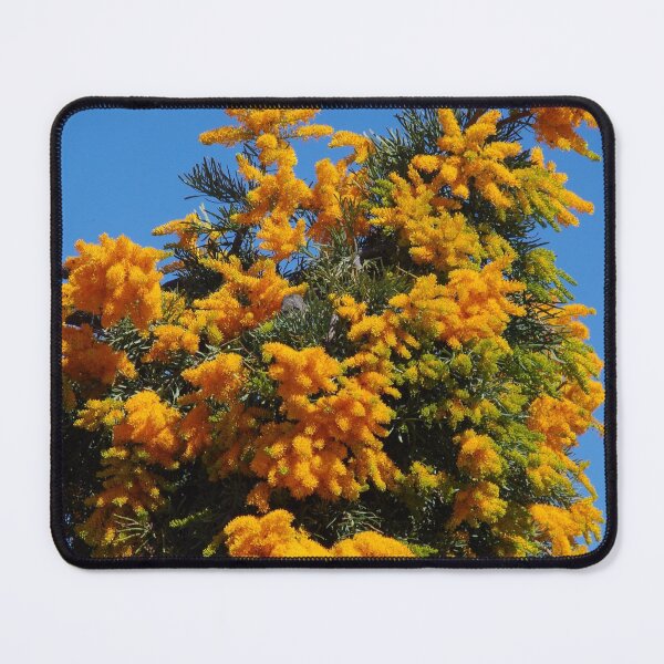 Item preview, Nuytsia floribunda 2 designed and sold by lezvee.