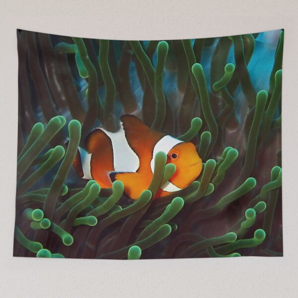 Artikelvorschau, Clownfische hängen in einer Seeanemone. entworfen und verkauft von Maddie4Real.