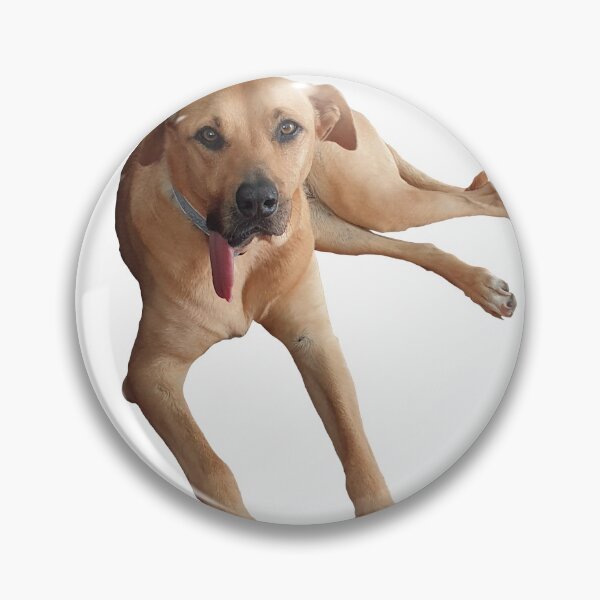 Item preview, Layla Labradhesian designed and sold by jaguarart.