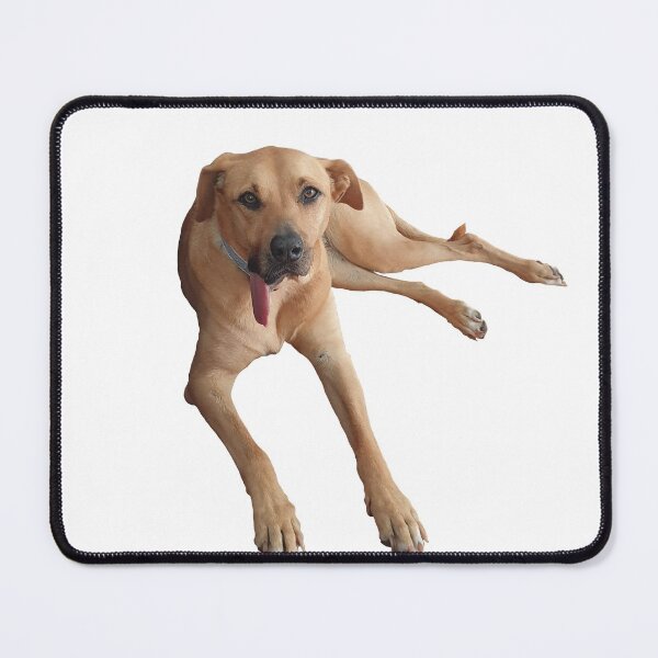Item preview, Layla Labradhesian designed and sold by jaguarart.