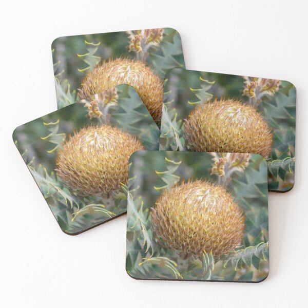 Item preview, Birds Nest Banksia III designed and sold by SallyB.Photography.