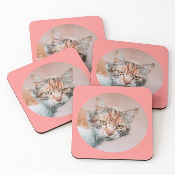 Item preview, lovely white cat  designed and sold by roasted-peanuts.
