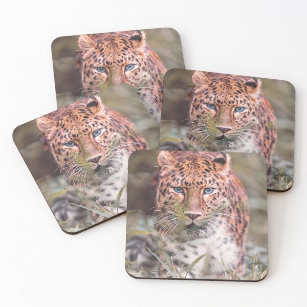 Item preview, Amur leopard designed and sold by Olek-Impek.