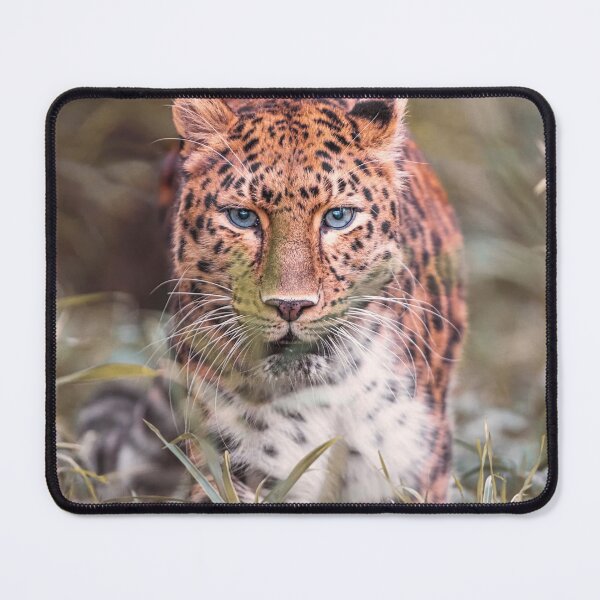 Item preview, Amur leopard designed and sold by Olek-Impek.