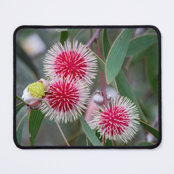 Item preview, Pin-cushion Trifecta designed and sold by SallyB.Photography.