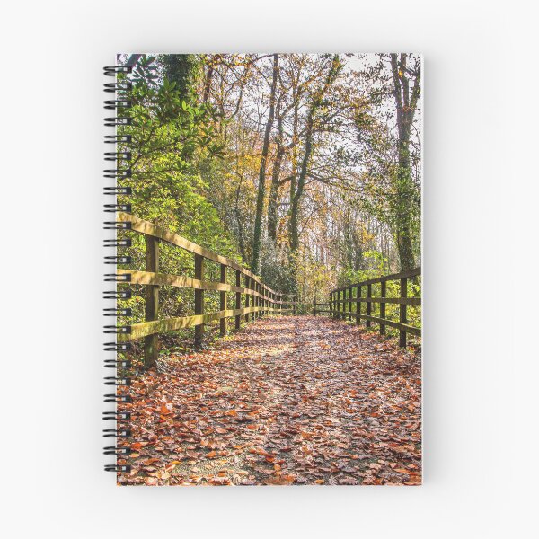 Item preview, Autumn Walkway designed and sold by Jinxyboy1908.