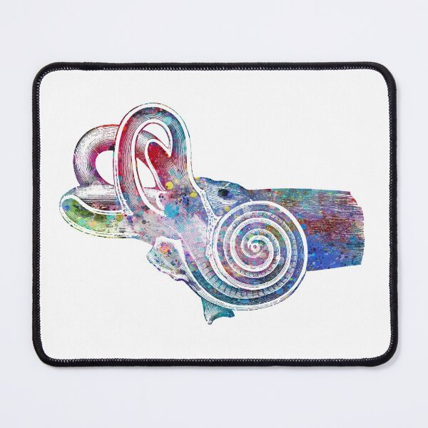 Item preview, Human Ear Anatomy Cross section designed and sold by EvasDreams.