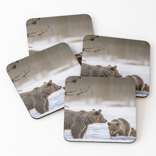 Item preview, She-Bear Grizzly and her two young cubs, in Winter. designed and sold by Maddie4Real.