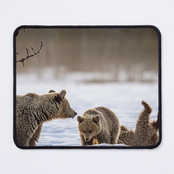 Item preview, She-Bear Grizzly and her two young cubs, in Winter. designed and sold by Maddie4Real.