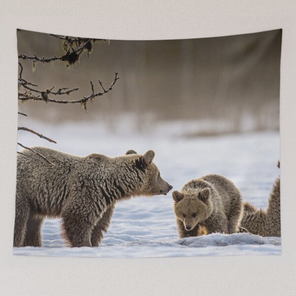 Item preview, She-Bear Grizzly and her two young cubs, in Winter. designed and sold by Maddie4Real.