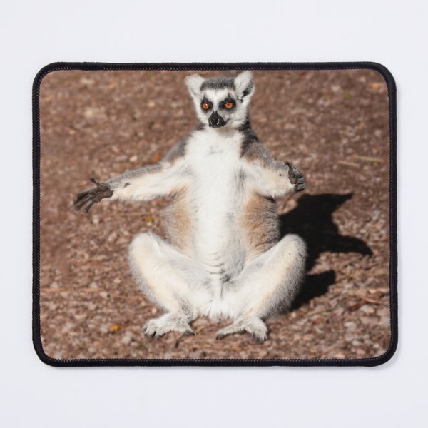 Item preview, Give me a cuddle baby designed and sold by Dalyndigital Photography.
