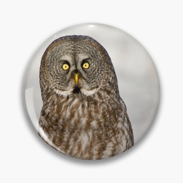 Item preview, Great Grey Owl designed and sold by Owl-Images.