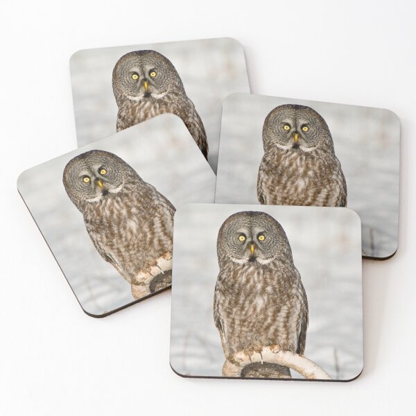 Item preview, Great Grey Owl designed and sold by Owl-Images.