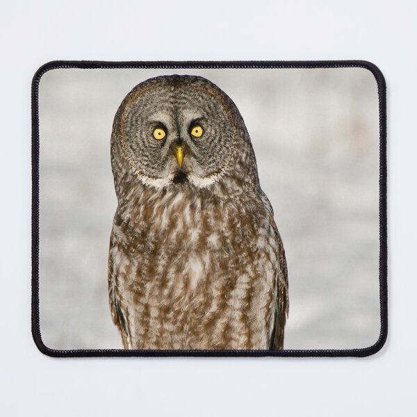 Item preview, Great Grey Owl designed and sold by Owl-Images.