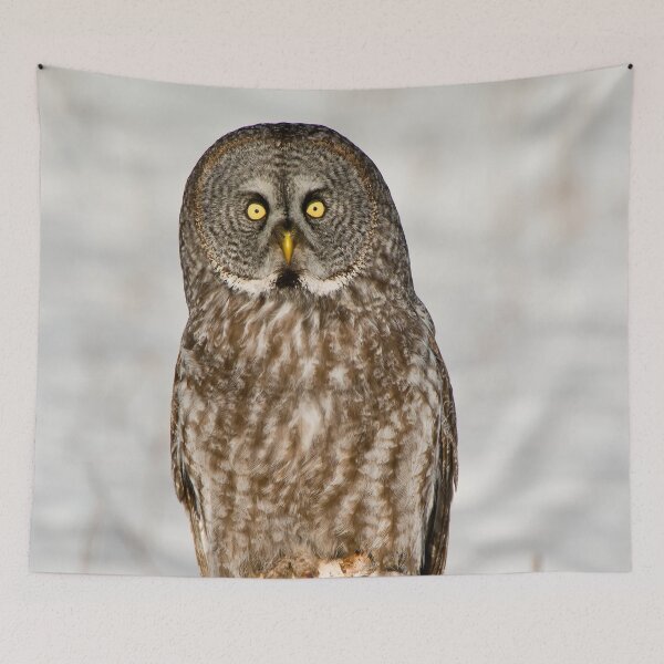 Item preview, Great Grey Owl designed and sold by Owl-Images.
