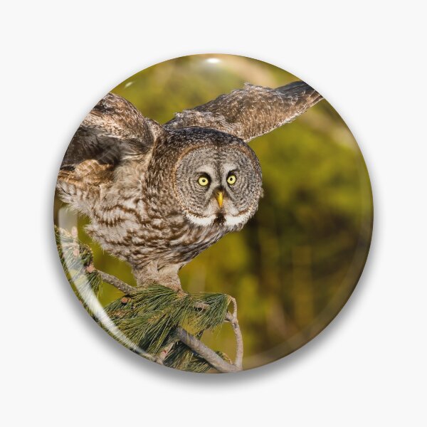 Item preview, Great Grey Owl designed and sold by Owl-Images.