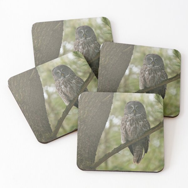 Item preview, Great Grey Owl designed and sold by Owl-Images.