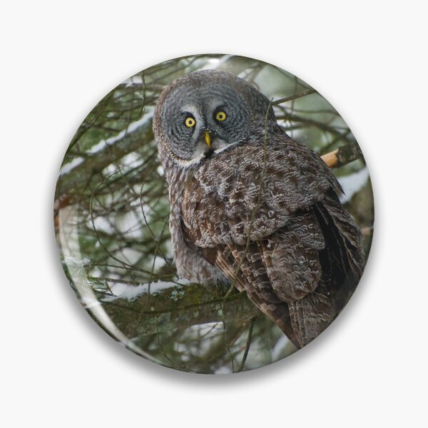 Item preview, Great Grey Owl designed and sold by Owl-Images.