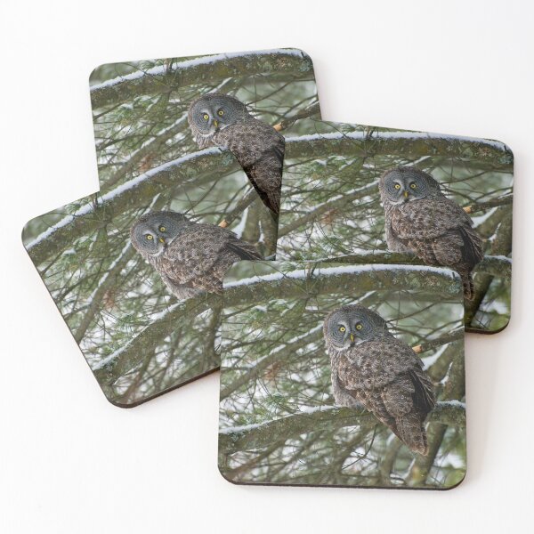 Item preview, Great Grey Owl designed and sold by Owl-Images.