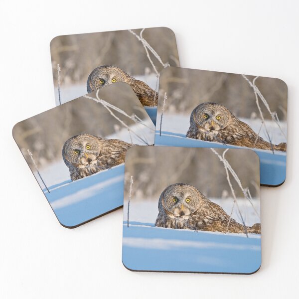 Item preview, Great Grey Owl designed and sold by Owl-Images.