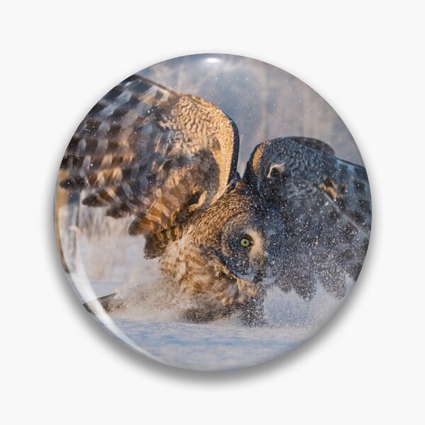 Item preview, Great Grey Owl designed and sold by Owl-Images.