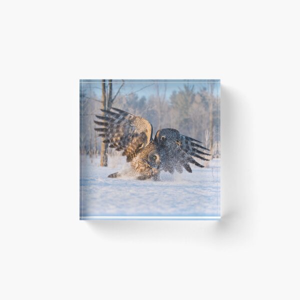 Item preview, Great Grey Owl designed and sold by Owl-Images.