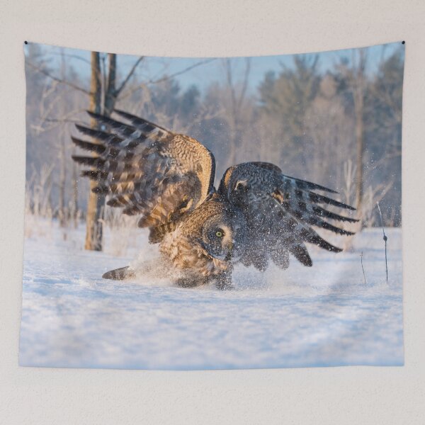 Item preview, Great Grey Owl designed and sold by Owl-Images.