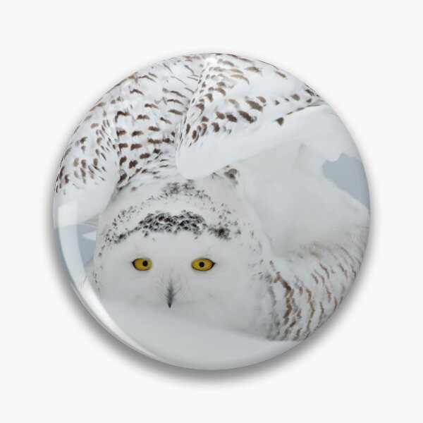Item preview, Snowy Owl designed and sold by Owl-Images.