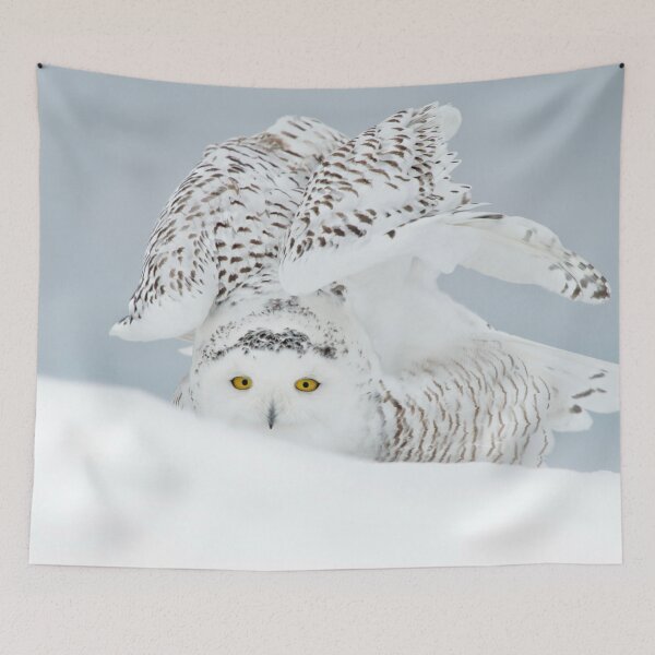 Item preview, Snowy Owl designed and sold by Owl-Images.