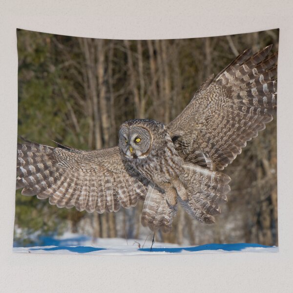 Item preview, Great Grey Owl designed and sold by Owl-Images.