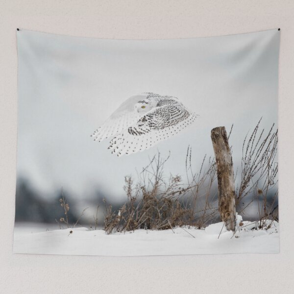 Item preview, Snowy Owl designed and sold by Owl-Images.