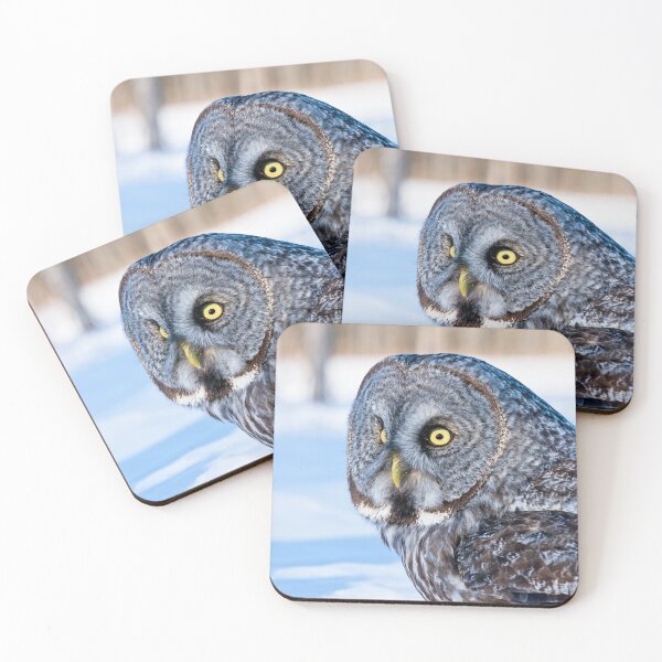 Item preview, Great Grey Owl designed and sold by Owl-Images.