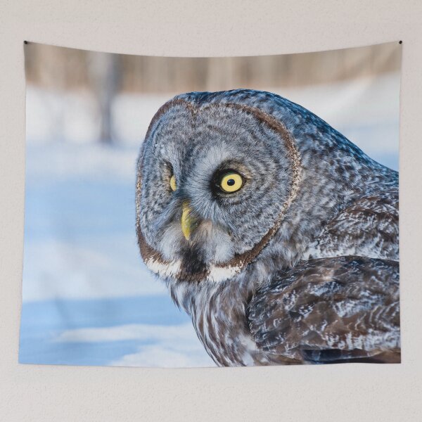 Item preview, Great Grey Owl designed and sold by Owl-Images.