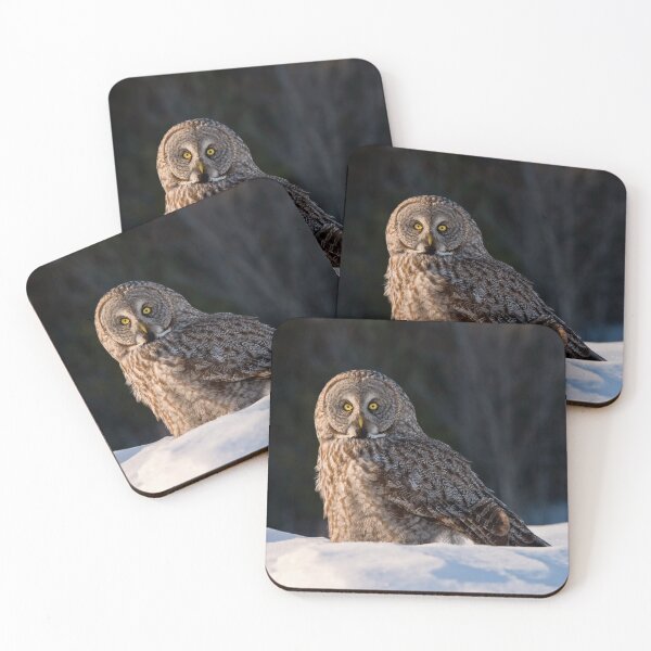 Item preview, Great Grey Owl designed and sold by Owl-Images.