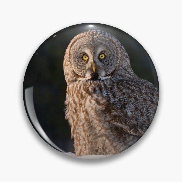 Item preview, Great Grey Owl designed and sold by Owl-Images.
