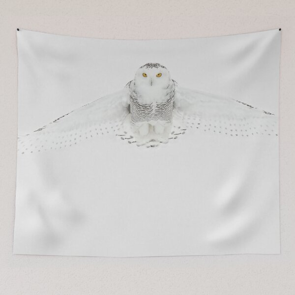 Item preview, Snowy Owl designed and sold by Owl-Images.