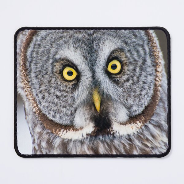 Item preview, Great Grey Owl designed and sold by Owl-Images.