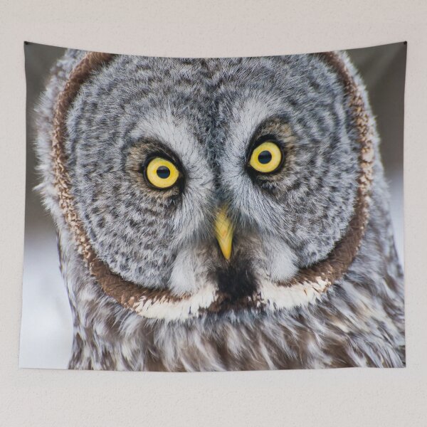 Item preview, Great Grey Owl designed and sold by Owl-Images.